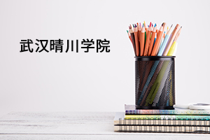 武汉晴川学院 武汉晴川学院