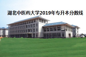 湖北中医药大学2019年专升本分数线 湖北中医药大学2019年专升本分数线