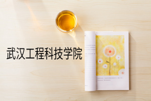 武汉设计工程学院